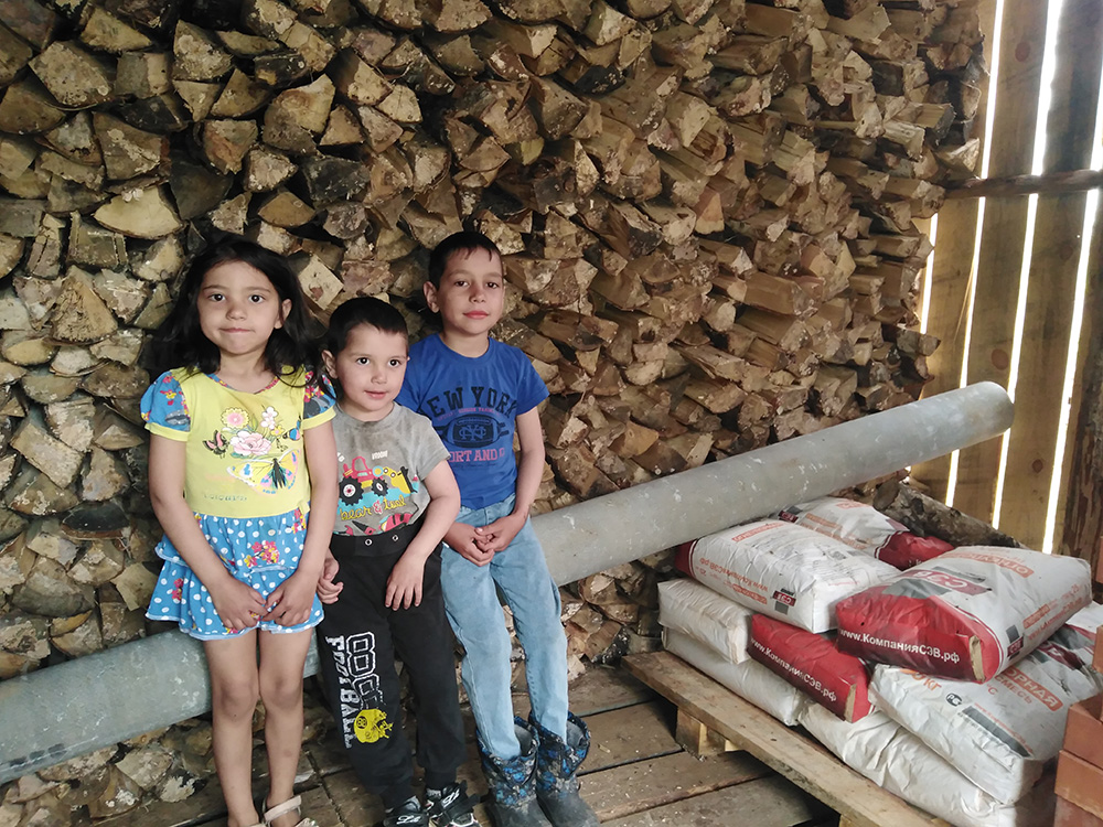 Готовь дрова летом!