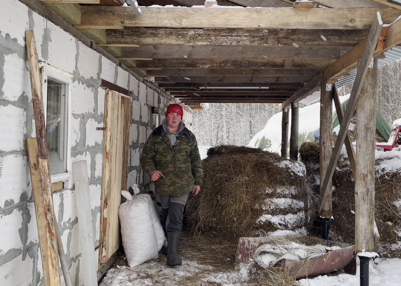А не переехать ли... в коровник?